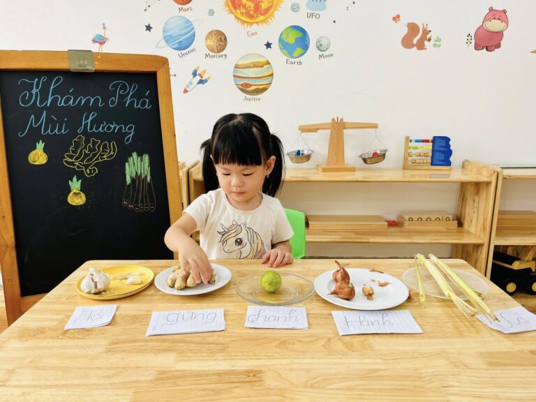 Chương Trình Lớp Mầm (2-3 tuổi)